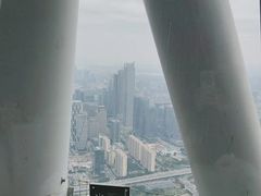 -广州塔晖粤轩中餐厅