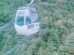-苍山感通索道