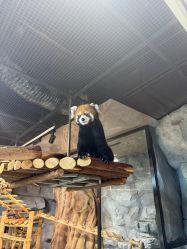 点击看大图 -Zoolung Zoolung动物主题公园(海信广场店)