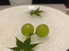 -觀芷隐轩