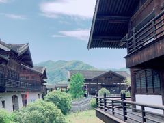 -大唐贡茶院