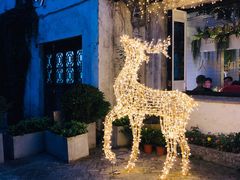 -蜜桃花开·中西融合菜E&W(南长街店)