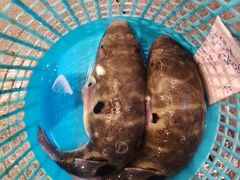 -龚记海鲜20年老字号
