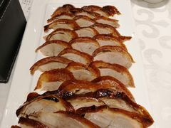 -金蝉食府(维吉奥广场店)