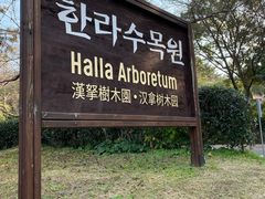 门面-汉拿树木园