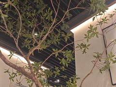 -大榕树下顺德菜(融创茂店)