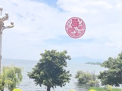 -野菌皇海景野生菌火锅(滨海大道店)