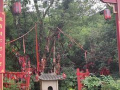 -茅山东方盐湖城景区