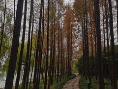 -渤公岛生态公园