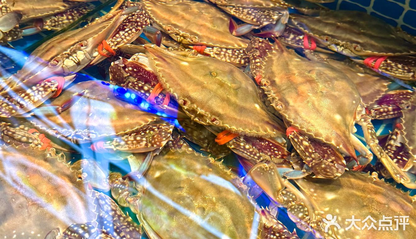 [礼花]凤霞海鲜楼·美食之旅开启🚢吃海鲜咯～