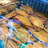 [礼花]凤霞海鲜楼·美食之旅开启🚢吃海鲜咯～