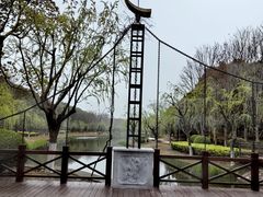 -上海鲜花港