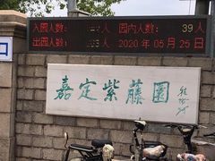 -嘉定紫藤园