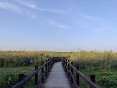 -西青郊野公园