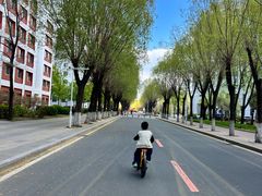 -吉林大学(前卫南区)