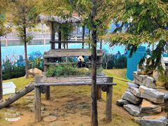 -西霞口神雕山野生动物世界