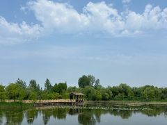 -溱湖国家湿地公园