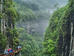 -鹿院坪生态旅游景区