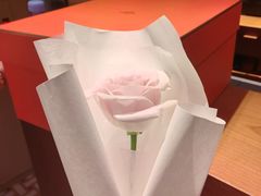 -爱马仕 HERMES(上海ifc商场店)