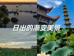 -焦岗湖旅游度假区