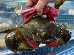 -喜记避风塘炒辣蟹(旗舰店)