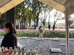 -圩墩遗址公园