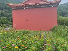 -香炉山国家森林公园