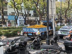 -Miette制菓所