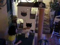 大堂-Sirena海妖日咖夜酒