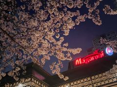 -玛格萝妮比萨屋(四平店)