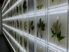 -广东中医药博物馆