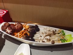 -海底捞火锅(太阳宫凯德mall店)