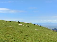 -灵山