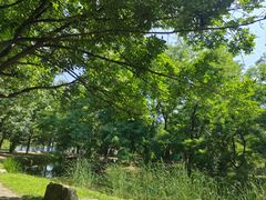 -长白岛森林公园