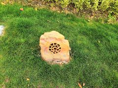 -昆山城市生态森林公园