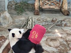 -海南热带野生动植物园