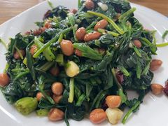 果仁菠菜-溢心园香河肉饼总店