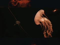 -波塞冬旅游度假区