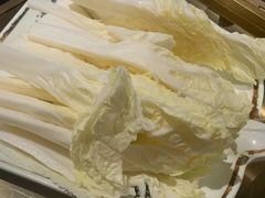大白菜-红鼎坊·老成都火锅(新南门店)