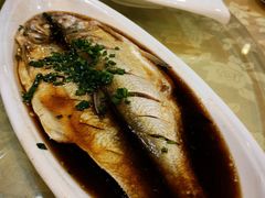 清蒸鲜白鱼-西新饭店(城中店)