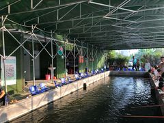 -会江钓鱼钓虾烧烤场