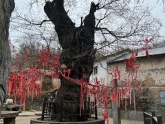-水峪民俗村