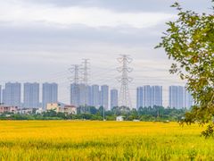 -低涌(地铁站)