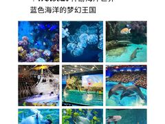 -威海华夏城景区