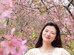 -天适樱花悠乐园