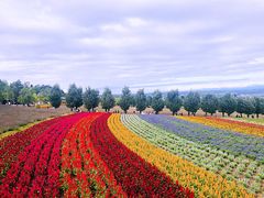 -富田农场