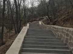 -大岭沟猕猴桃谷风景区