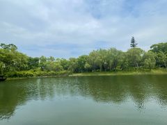 -养云安缦吧THE BAR