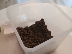 -浣熊柯尔鸭土拨鼠·电玩咖