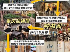 -小天鹅火锅·一线江景洪鼎旗舰店(洪崖洞店)